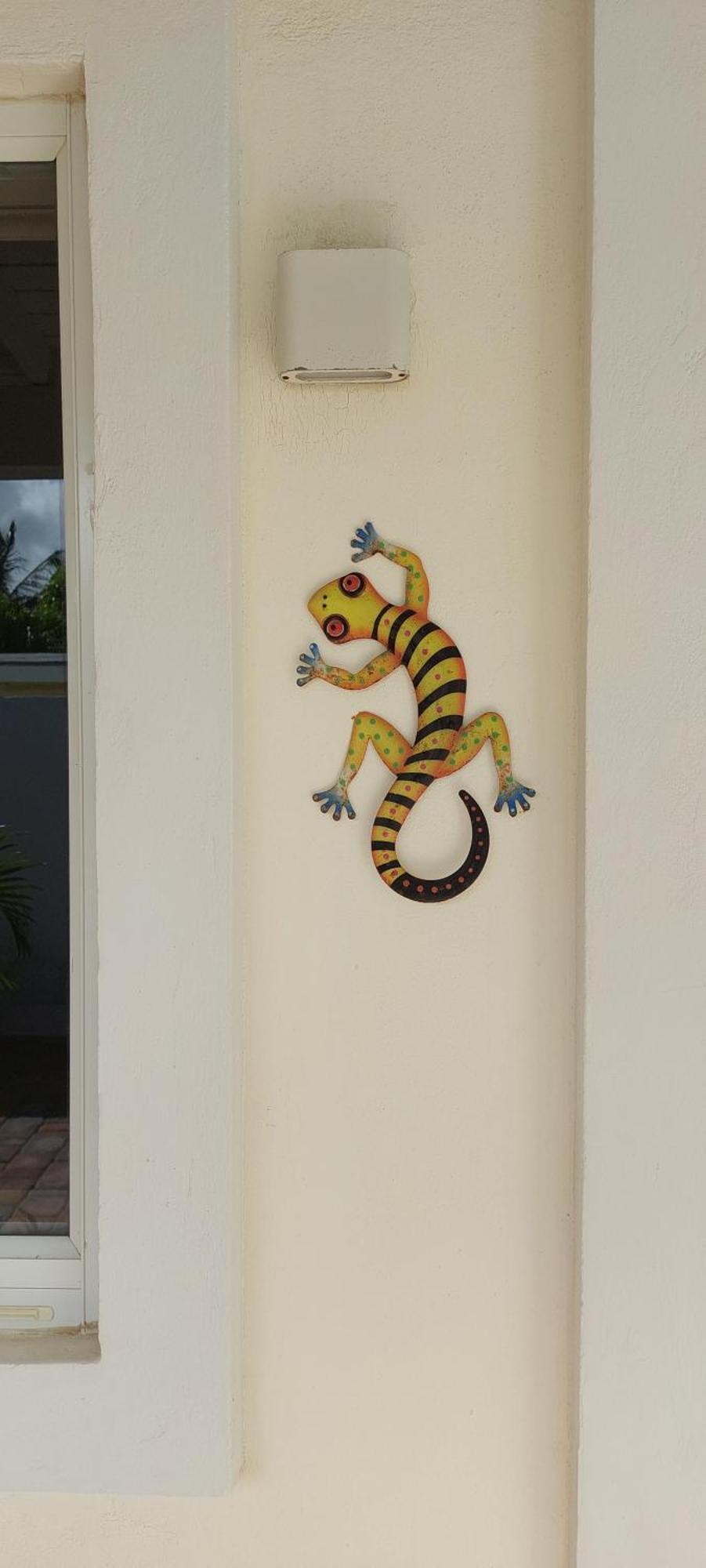 Aparthotel Dancing Iguanas Eagle Beach Exterior foto